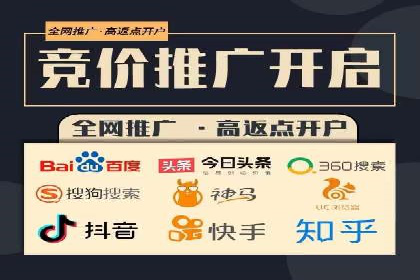 百度竞价广告的投放策略与成功案例分析